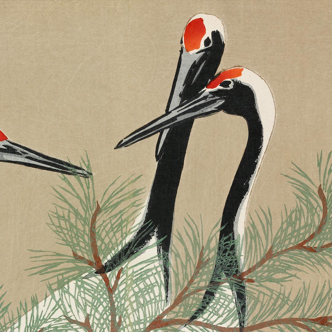 DONEC PORTTITOR - Imagen 2