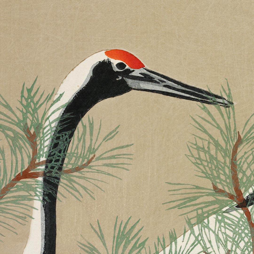 DONEC PORTTITOR - Imagen 3